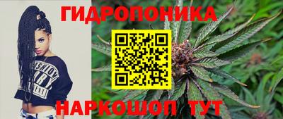 Альфа ПВП Тара