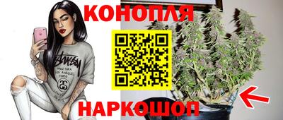 каннабис Ставрополь