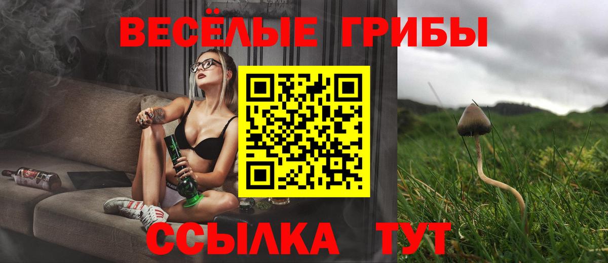 Новотроицк  Псилоцибиновые грибы Psilocybine cubensis  Вход с VPN 