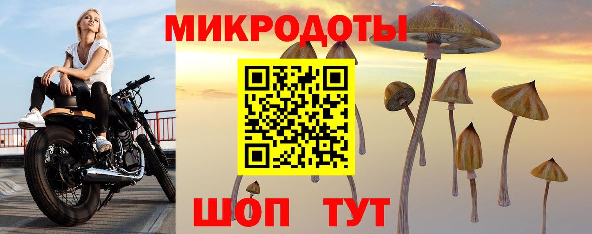 Галлюциногенные грибы GOLDEN TEACHER Новотроицк